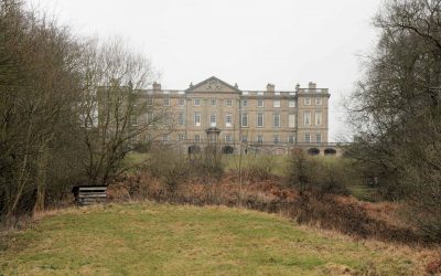 Outdoor Meeting : Springtime in Burley Wood