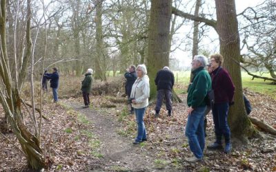 Outdoor Meeting : Clipsham Park Wood and Yew Tree Avenue