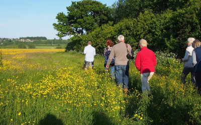 Indoor Meeting : Members and Recorders Evening