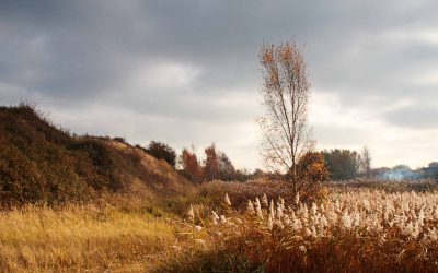 Indoor Meeting: The Langdyke Countryside Trust