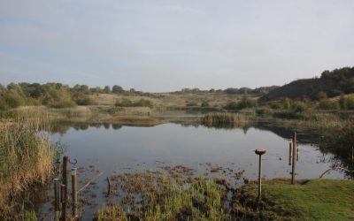 Indoor Meeting: King’s Dyke Nature Reserve