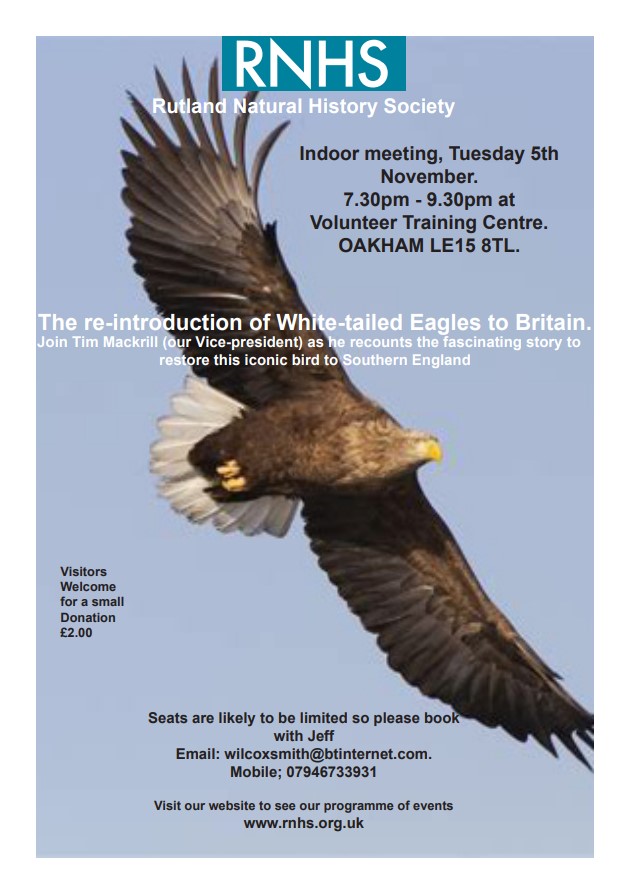 Nov 5 White-tailed Eagle talk poster