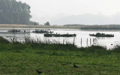 Outdoor Meeting: Rutland Water, Egleton Centre