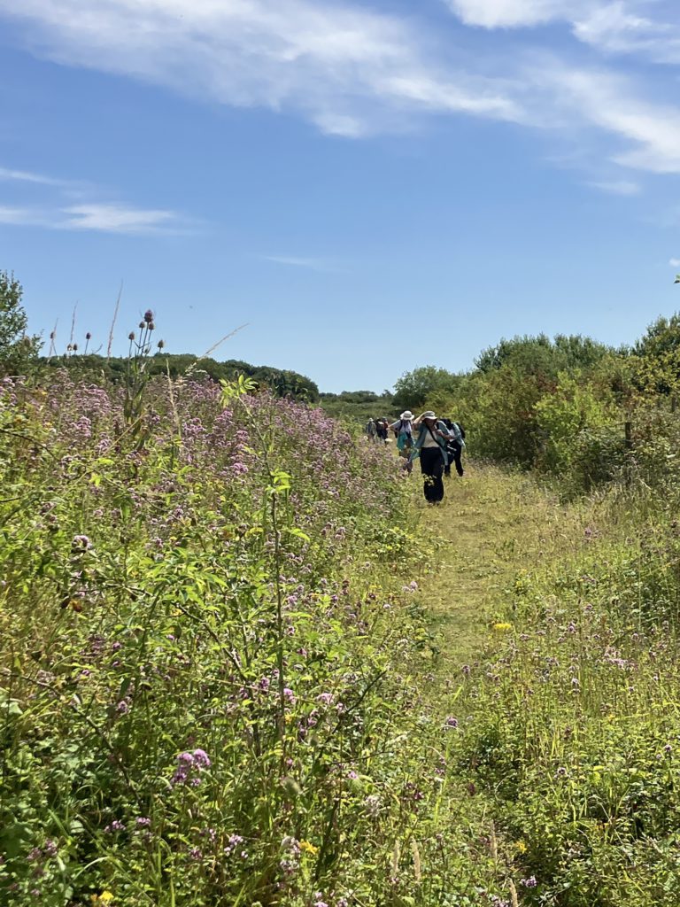 Swaddywell pits